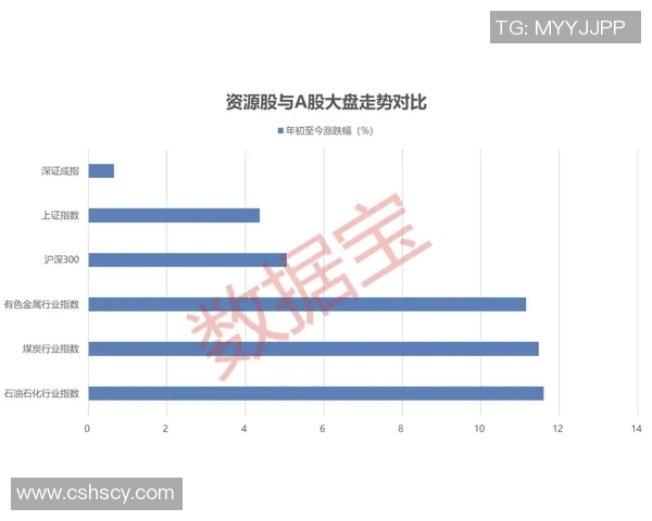 上海排球队联赛表现分析团队配合与战术执行的关键因素探讨