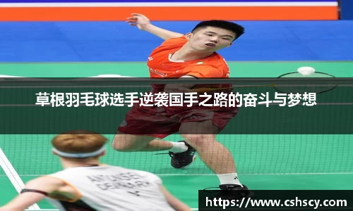 爱游戏ayx官方网站